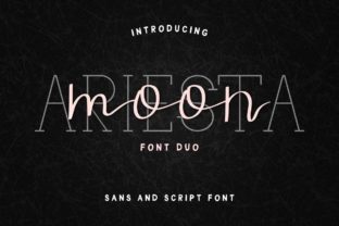 Ariesta Moon Duo: A Typeface That Elevates Campaign Design
